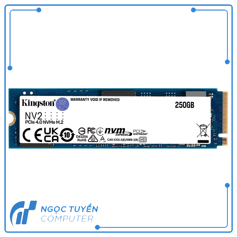 Ổ cứng SSD Kingston NV2 250GB PCIe Gen4 x4 NVMe M.2